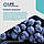 Life Extension Grapeseed Extract / Екстракт виноградної кісточки для здоров'я серця 60 капсул, фото 4