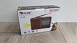 Радіоприймач багатодіапазонний GOLON RX-329, FM/AM/SW(1-6), USB/microSD, mp3, акумулятор Li-Ion BL-5С, фото 9