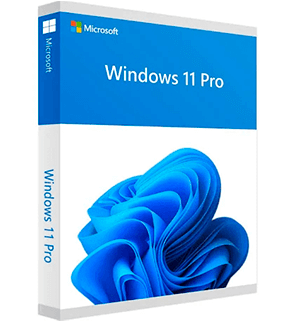Microsoft Windows 11 Professional, Multilanguage, ESD (Microsoft Corporation)