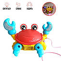 Музичний крабик 776-5 зі світловими та звуковими ефектами Червоний, фото 2