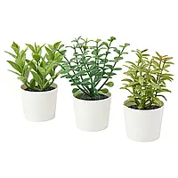 IKEA Горшок для искусственных растений + набор для дона 3 с FEJKA (405.084.07)