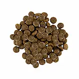 Savory (Сейворі) сухий корм для собак міні порід з індичкою та ягням, 8 кг, фото 3