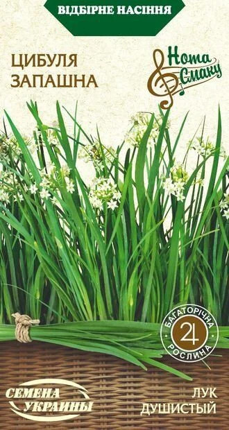 Насіння Цибуля Запашна 0,5г, Насіння України