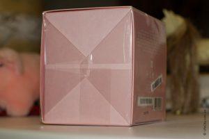 Термоусадочная упаковочная машина для парфюмерной коробки (Целлофанатор- Целлофанирующие машина) - фото 2 - id-p1656918964