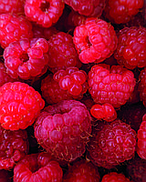 Отдушка для санитайзера , антисептика Raspberries /Малина