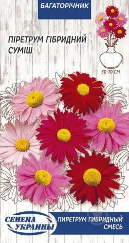 Насіння Квіти Піретрум Гібридний суміш 0,2 г Насіння України