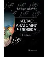 Атлас анатомії людини Френк Неттер 6 видання (основа атласу на латинській мові)