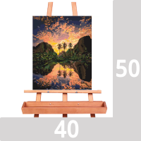 Картини за номерами 40 x50 см