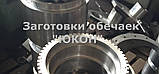 Обичайка 240 мм для ролика прес гранулятора ГТ-500, фото 3
