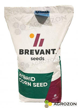 Кукурудза P8409 MFF Brevant, фото 1