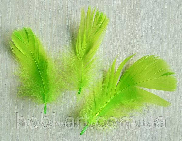 Пір'я № 05 салатове 5-15 см (571393)