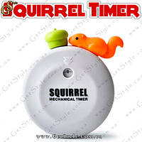 Таймер Белочка Squirrel Timer 60 мин на магните