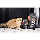 Корм сухий Savory Adult Cat Steril Fresh Lamb and Chicken для кастрованих котів зі свіжим м’ясом ягняти та курки 400 г, фото 4