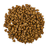 Корм сухий Savory Adult Cat Steril Fresh Lamb and Chicken для кастрованих котів зі свіжим м’ясом ягняти та курки 400 г, фото 3