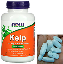 Бурі водорості келп з йодом Now Kelp 150 mcg - 200 таб, фото 2