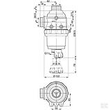 Всмоктуючий фільтр Arag серії 314 100-160 л./хв., фото 3