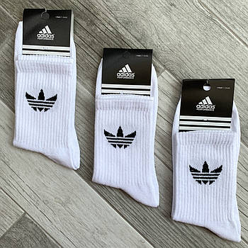 Шкарпетки чоловічі демісезонні бавовна спортивні Adidas, розмір 41-45, високі, білі, 06240