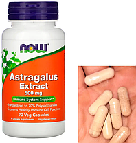 Екстракт кореня астрагалу Now Astragalus Extract 500 mg 90 veg caps, фото 3