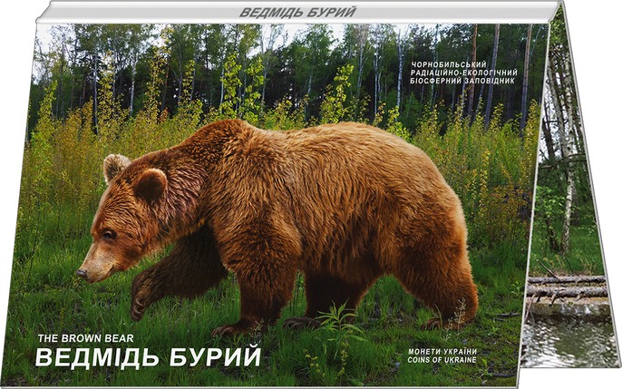 Монета НБУ "Чорнобиль. Відродження. Ведмідь бурий" у сувенірній упаковці, фото 2