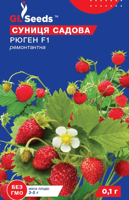Суниця Рюген GL Seeds, фото 1