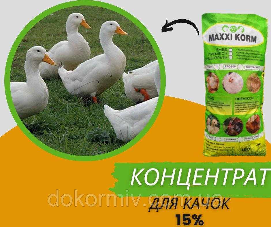 БМВД MAXXI KORM для качок 15%