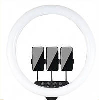 Кольцевая LED лампа для фото и видео модели K18-450CW 45см с штативом и держателем для телефона