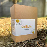 Shelficlin (Шелфіклін) - краплі для відновлення органів дихання, фото 4