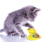 Іграшка для кота Rotate Windmill NJ-509 / Інтерактивний Спіннер з котячою м'ятою та світлодіодною кулею, фото 8