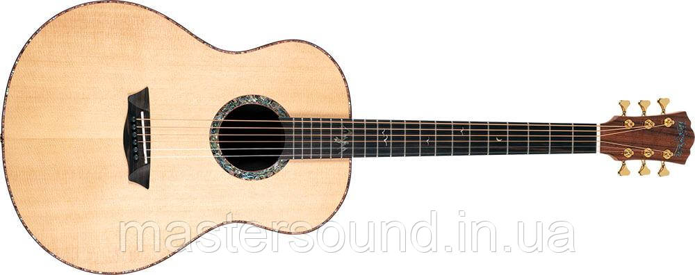 Акустическая гитара Washburn ELEGANTE S24S - фото 1 - id-p1657648821