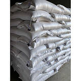 Насіння озимої пшениці Астарта (еліта) ціна за мішок 50 кг, фото 2