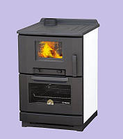 Піч-камін Palmen Calorex 100