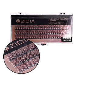 Zidia Cluster lashes Flame Series C 0.10 (3 ленти, розмiр 14 mm)