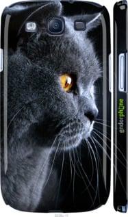 Чохол на Galaxy S3 Duos I9300i Красивий кіт "3038c-50-2448"