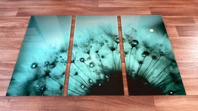 картина-пухнастий-блакитний-кульбаба-3-частини-зі скла kartyna-pukhnastyy-blakytnyy-kulʹbaba-3-chastyny-zi skla