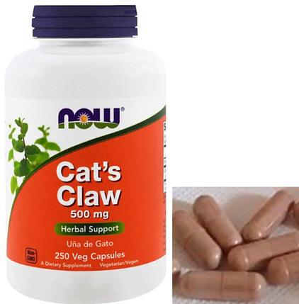 Котячий кіготь Now Cat's Claw 500 mg, 250 капсул, фото 3