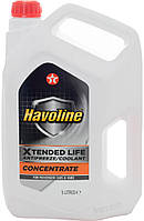 TX Havoline XL AF/C Conc 5л (конц.червоний) (шт.)