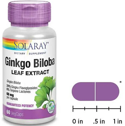 Екстракт листя Гінго Білоба Solaray Ginkgo Biloba Leaf Extract 60 veg caps, фото 1
