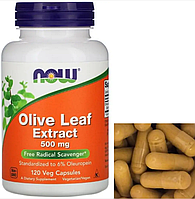 Экстракт листьев оливы Now Foods Olive Leaf Extract 500 mg 120 веган капсул