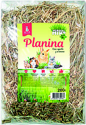 Сіно для гризунів Modes Planina Herbal Mint (Модес лугове з м'ятою) 200г