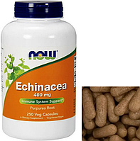 Эхинацея NOW Echinacea 400 mg 250 капс