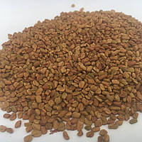 Пажитник (Шамбала) семена 50 гр