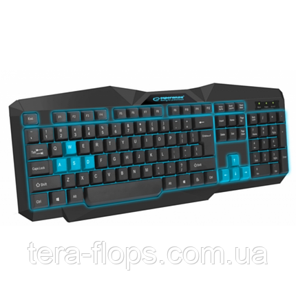 Клавіатура Esperanza Keyboard EGK201 Blue USB LED (M), фото 2