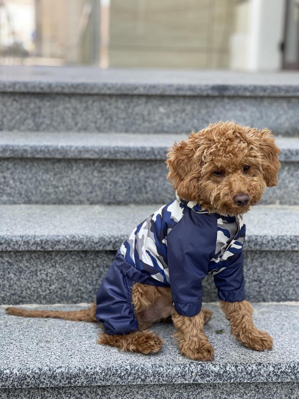 Дощовик для собак DB камуфляж синій M-63, фото 1