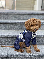 Дождевик для собак DB камуфляж синий M-63 5