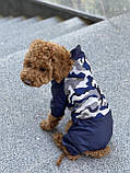 Дощовик для собак DB камуфляж синій M-63, фото 5