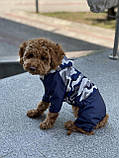 Дощовик для собак DB камуфляж синій M-63, фото 7