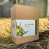Allebonin (Аллебонін) - капсули для загального зміцнення при підвищеній чутливості організму, фото 4