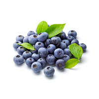 DHC Blueberry Extract японські вітаміни з витяжкою Чорниці 60 днів — 120 гранул 40, фото 4