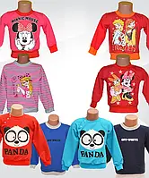 Джемпер (батник) детский для мальчика 01076 Эльф двунитка