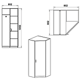 Шаф Компаніт 3У кутовий 1950x802x82 мм венге темний, фото 2